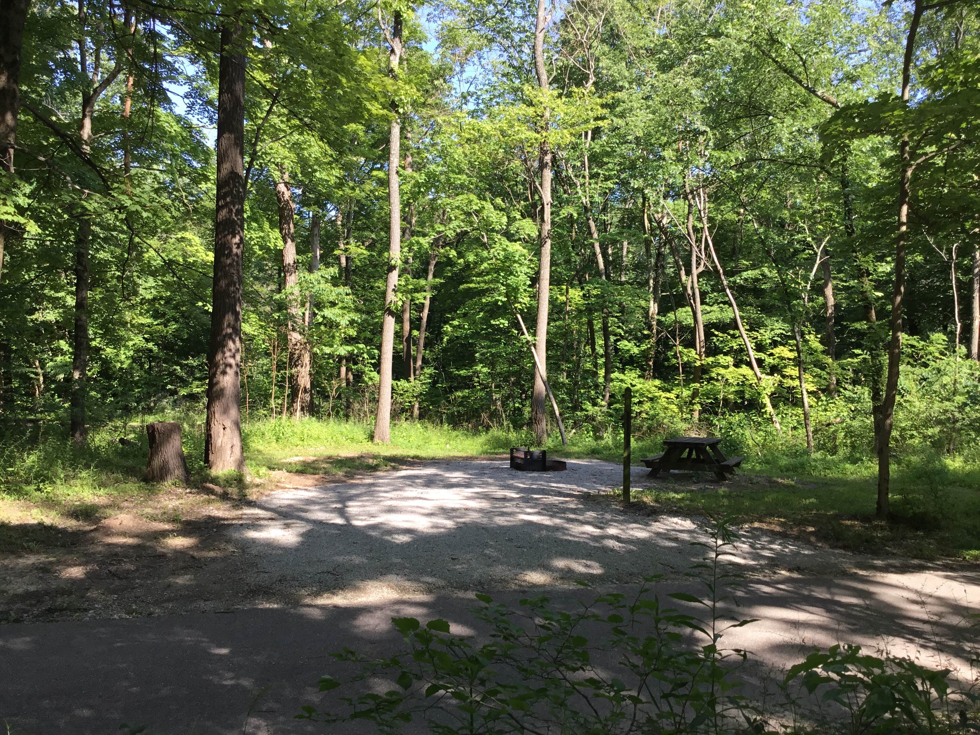 Camper submitted image from Oak Ridge Morgan-Monroe State Forest - 3