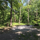 Review photo of Oak Ridge Morgan-Monroe State Forest by Ginger T., June 28, 2019
