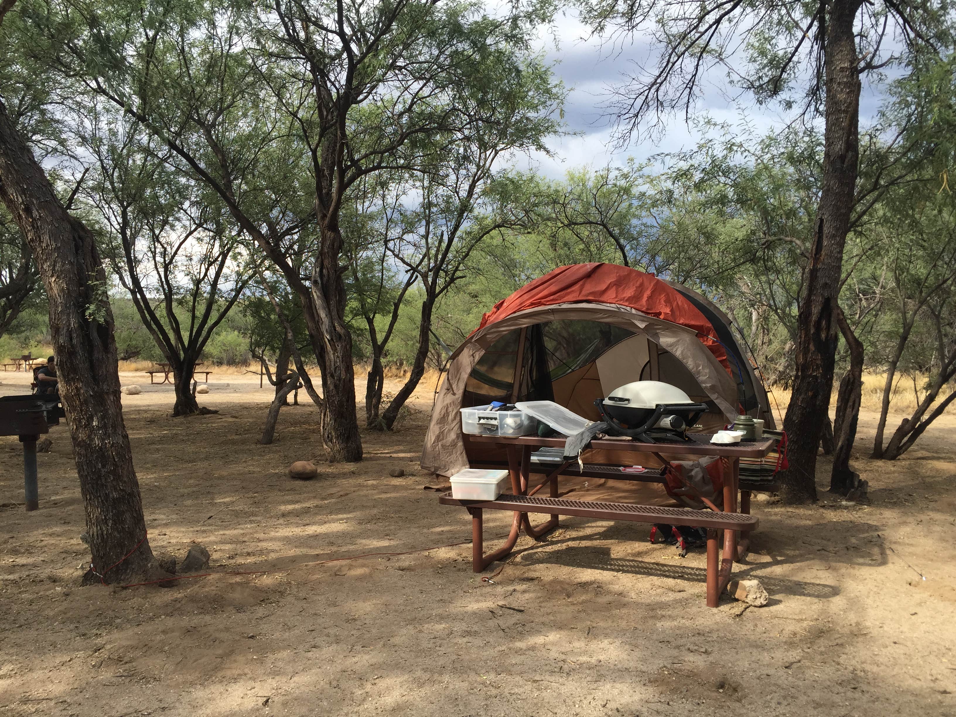 Camper submitted image from Catalina State Park Campground - 5