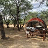 Review photo of Catalina State Park Campground by Molly G., September 5, 2016