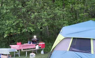 Zen W.'s photo at Selkirk Shores State Park Campground near Sterling, NY