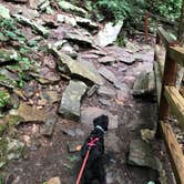 Review photo of Fall Creek Falls State Park Campground by Katie S., June 28, 2019