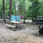 Review photo of Fall Creek Falls State Park Campground by Katie S., June 28, 2019