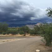 Review photo of Catalina State Park Campground by Molly G., September 5, 2016