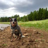 Review photo of Lakeview Campground by Molly G., September 5, 2016