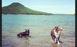 Angela M.'s photo of camping with pets at Sugar Loaf near Greers Ferry Lake