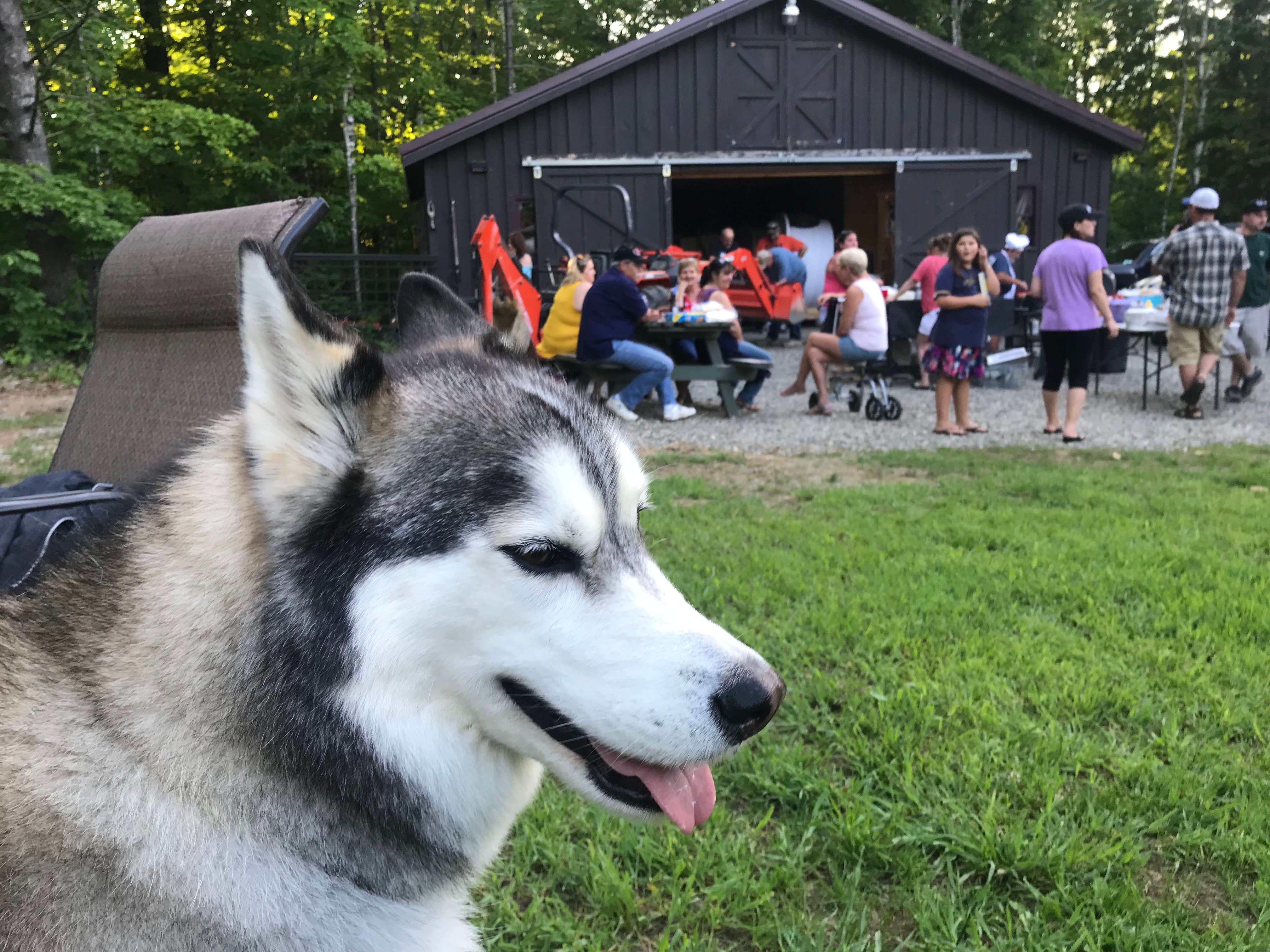 Camper submitted image from Sleeping Bear Campground - 2