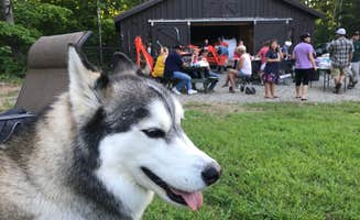Kaelin P.'s photo of camping with pets at Sleeping Bear Campground near Stacyville, ME