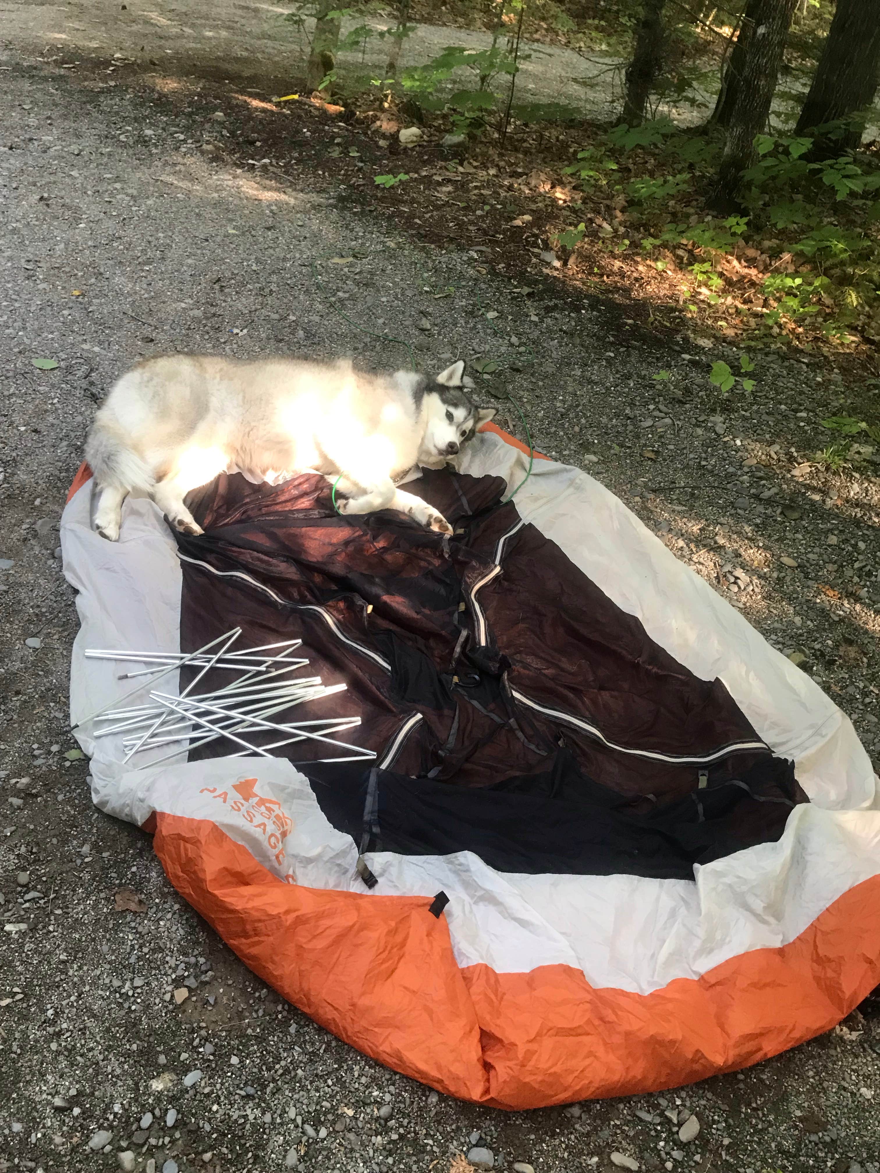 Camping near Greenland Cove Campground: Sleeping Bear Campground, Medford, Maine