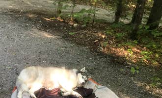 Camping near Big Lake RV Park & Campground: Sleeping Bear Campground, Medford, Maine