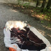 Review photo of Sleeping Bear Campground by Kaelin P., June 29, 2019