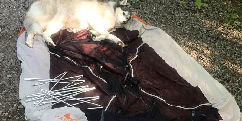 Camper submitted image from Sleeping Bear Campground