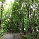 Review photo of Father Hennepin State Park Campground by Jeff G., June 29, 2019