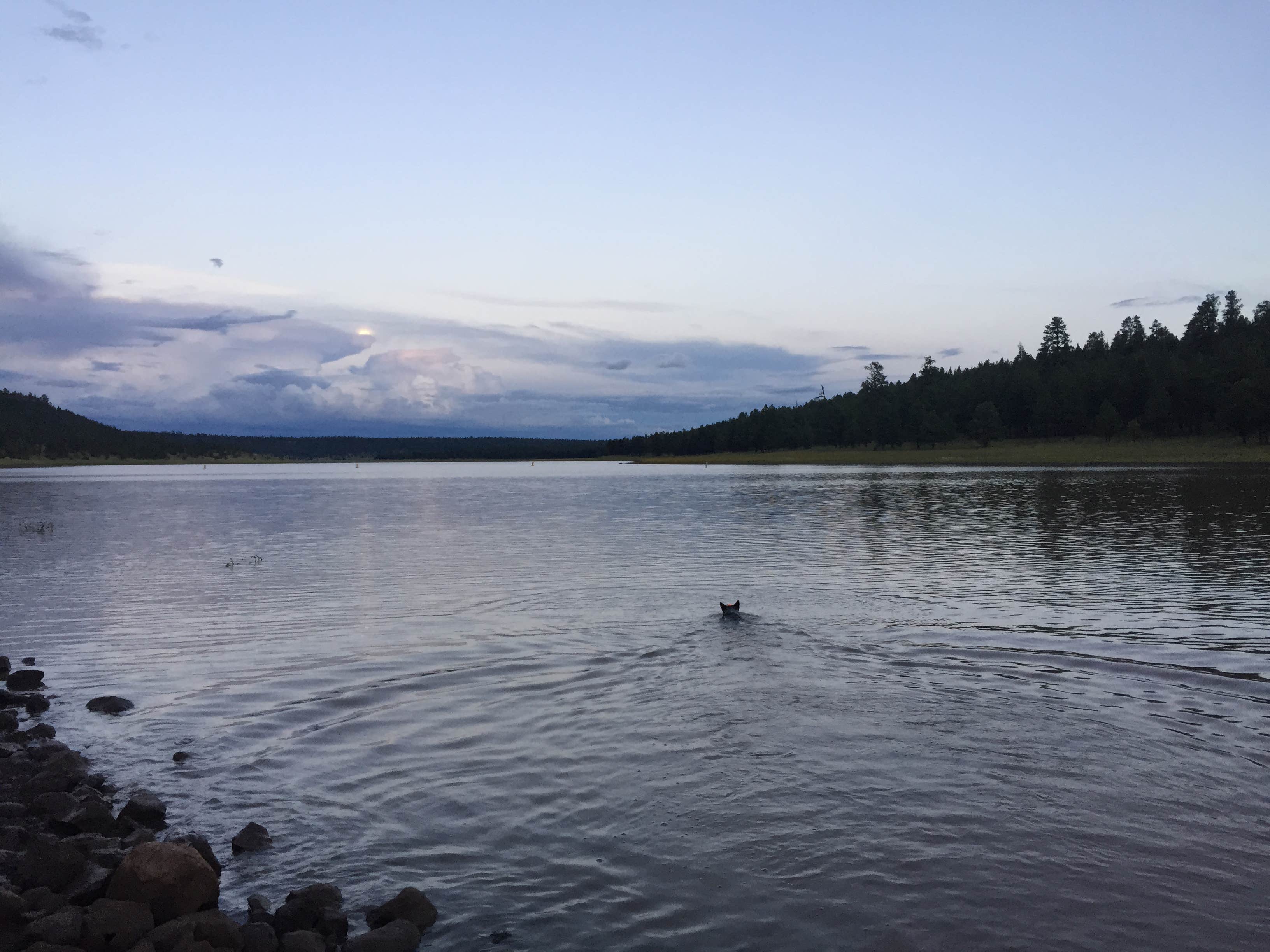 Camper submitted image from Lakeview Campground - 3