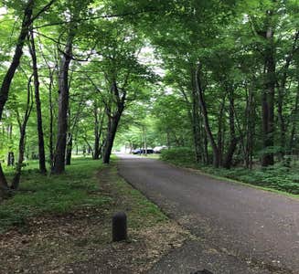 Camper-submitted photo from Father Hennepin State Park Campground