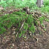 Review photo of Father Hennepin State Park Campground by Jeff G., June 29, 2019