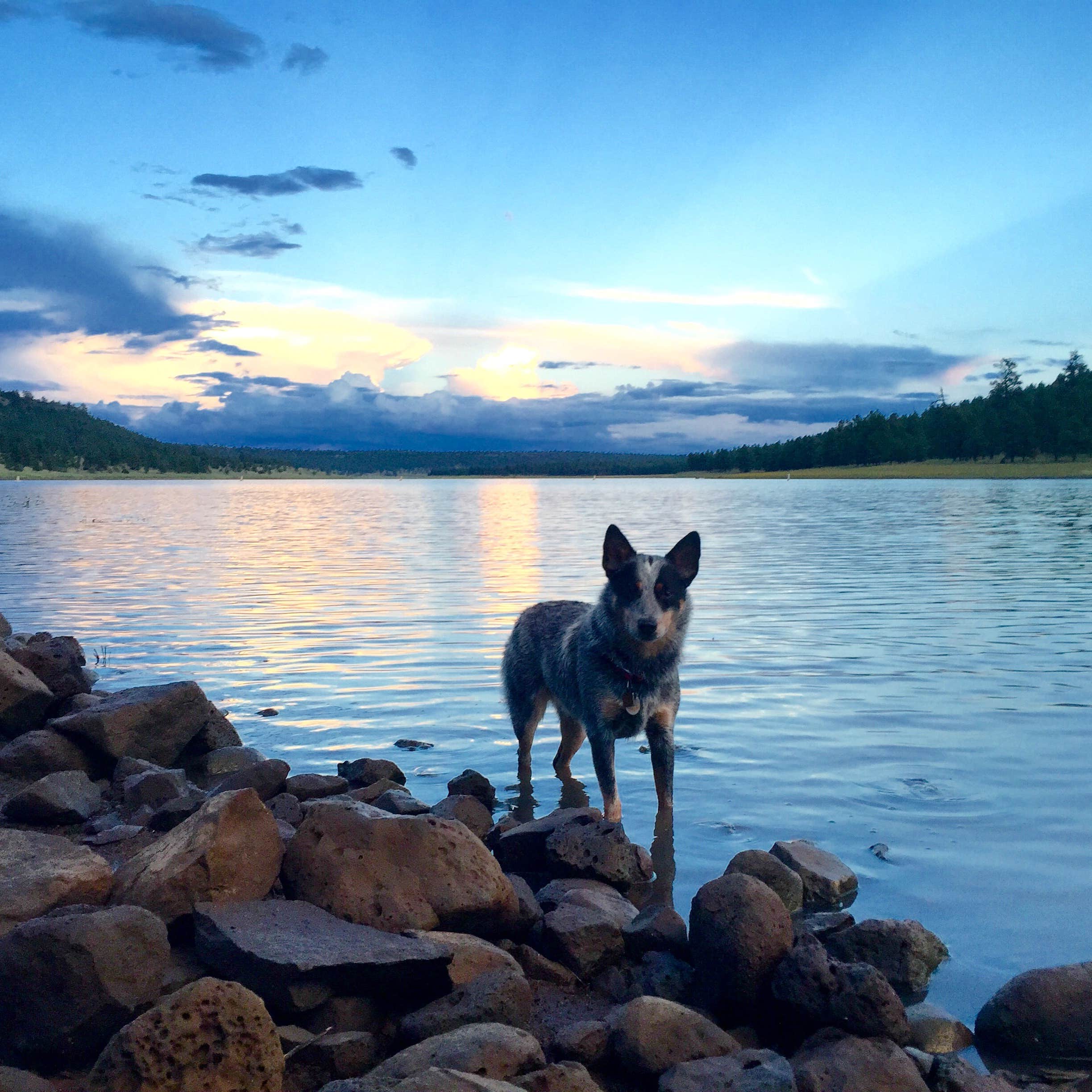 Camper submitted image from Lakeview Campground - 1