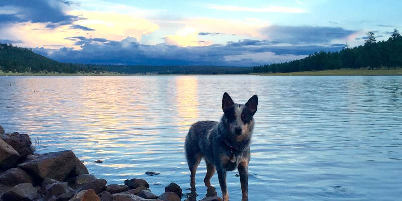 Camper submitted image from Lakeview Campground