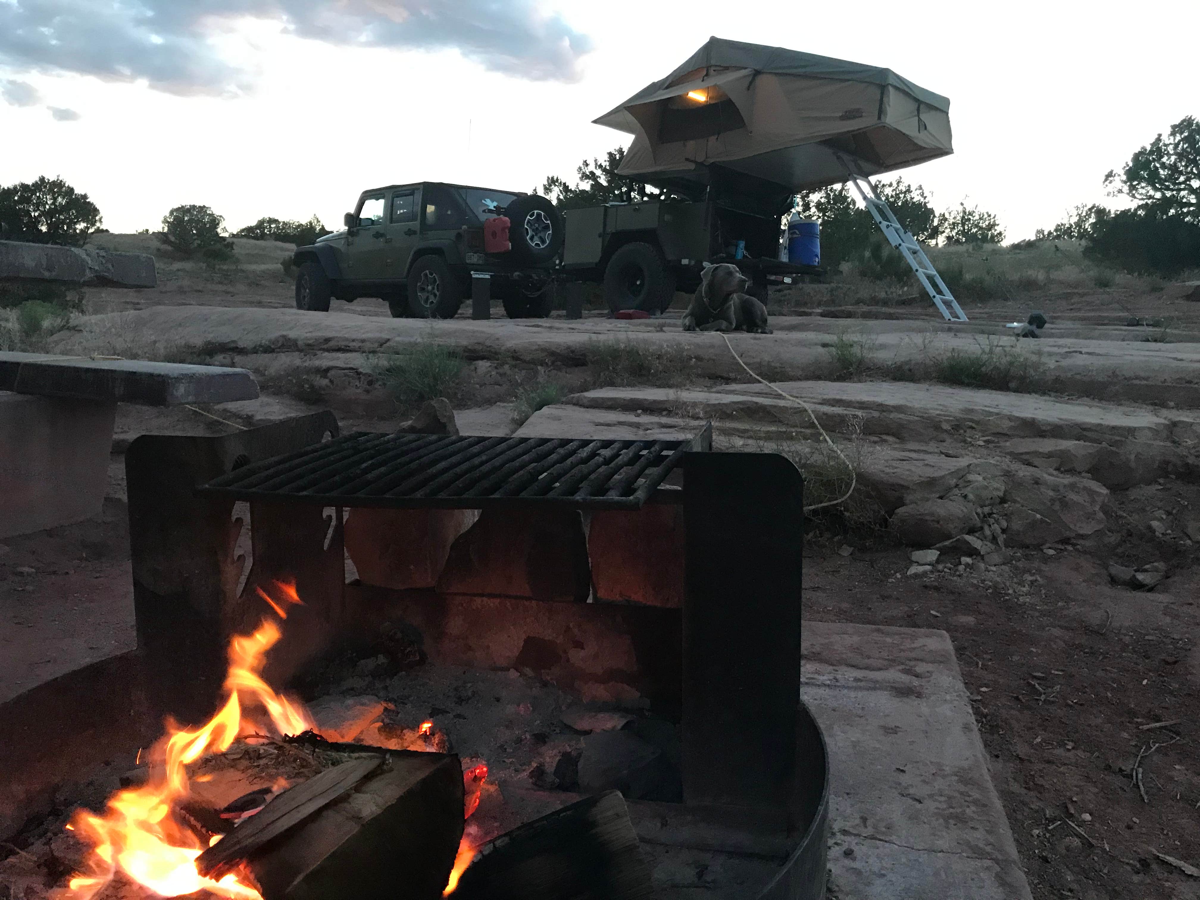 Camper submitted image from Knowles Overlook Campground - 4