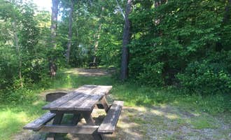 Camping near Rough and Raw: Lamoine State Park Campground, Lamoine, Maine