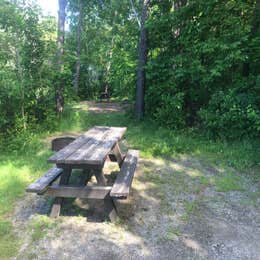 Lamoine State Park Campground