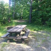 Review photo of Lamoine State Park Campground by Kaelin P., June 29, 2019