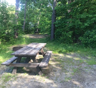 Camper-submitted photo from Lamoine State Park Campground