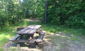 Camping near Spindle Cottage: Lamoine State Park Campground, Lamoine, Maine