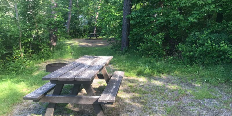 Camper submitted image from Lamoine State Park Campground