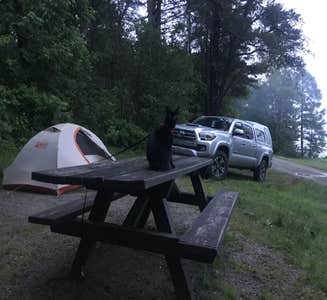 Camper-submitted photo from Lamoine State Park Campground