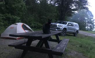 Kaelin P.'s photo of camping with pets at Lamoine State Park Campground near Sorrento, ME