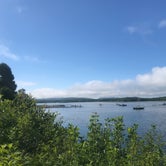 Review photo of Lamoine State Park Campground by Kaelin P., June 29, 2019