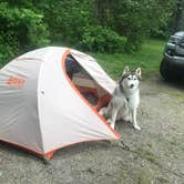 Review photo of Lamoine State Park Campground by Kaelin P., June 29, 2019