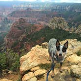 Review photo of DeMotte National Forest Campground by Molly G., September 5, 2016