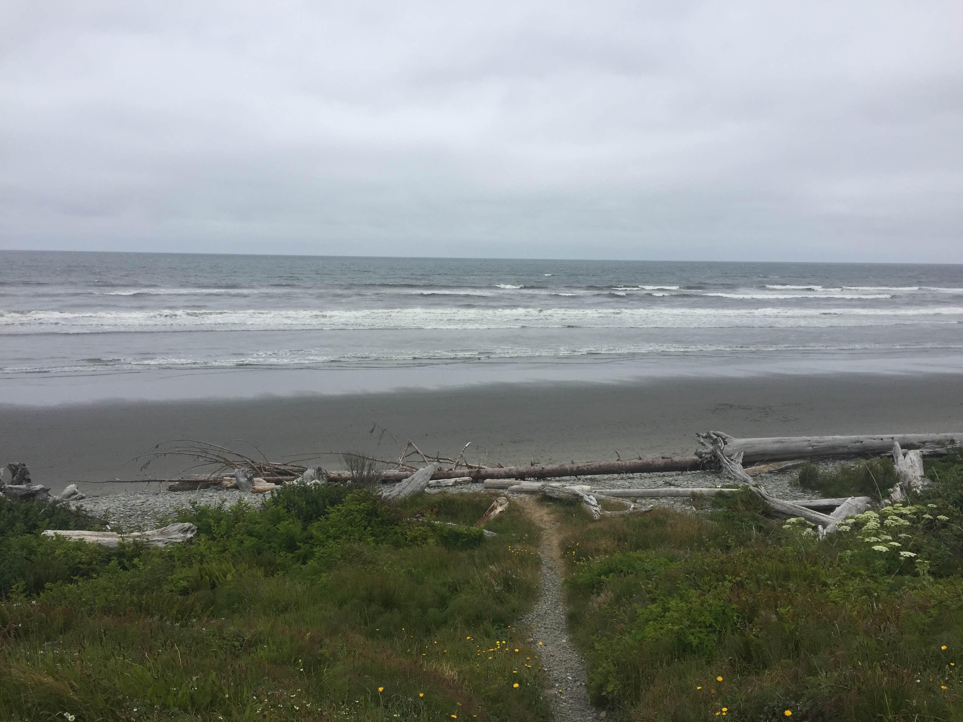 Camper submitted image from South Beach Campground — Olympic National Park - 4