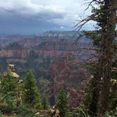 Review photo of DeMotte National Forest Campground by Molly G., September 5, 2016