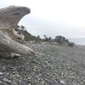 Review photo of South Beach Campground — Olympic National Park by Robert  G., June 29, 2019