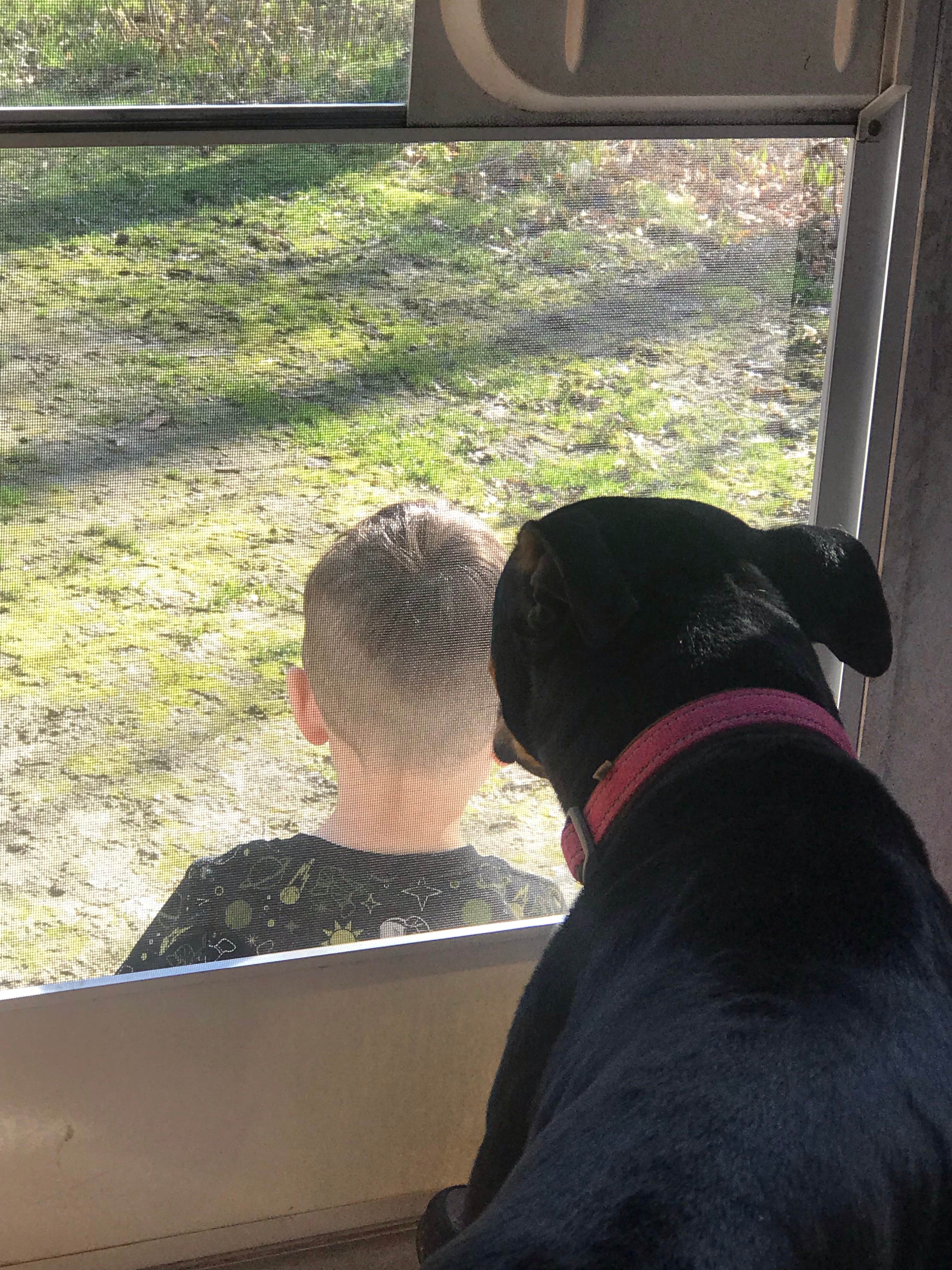 Nick K.'s photo of camping with pets at Nerstrand Big Woods State Park Campground near Apple Valley, MN