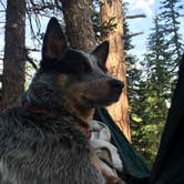 Review photo of DeMotte National Forest Campground by Molly G., September 5, 2016