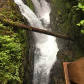 Review photo of Lake Crescent Lodge by Becky R., June 29, 2019