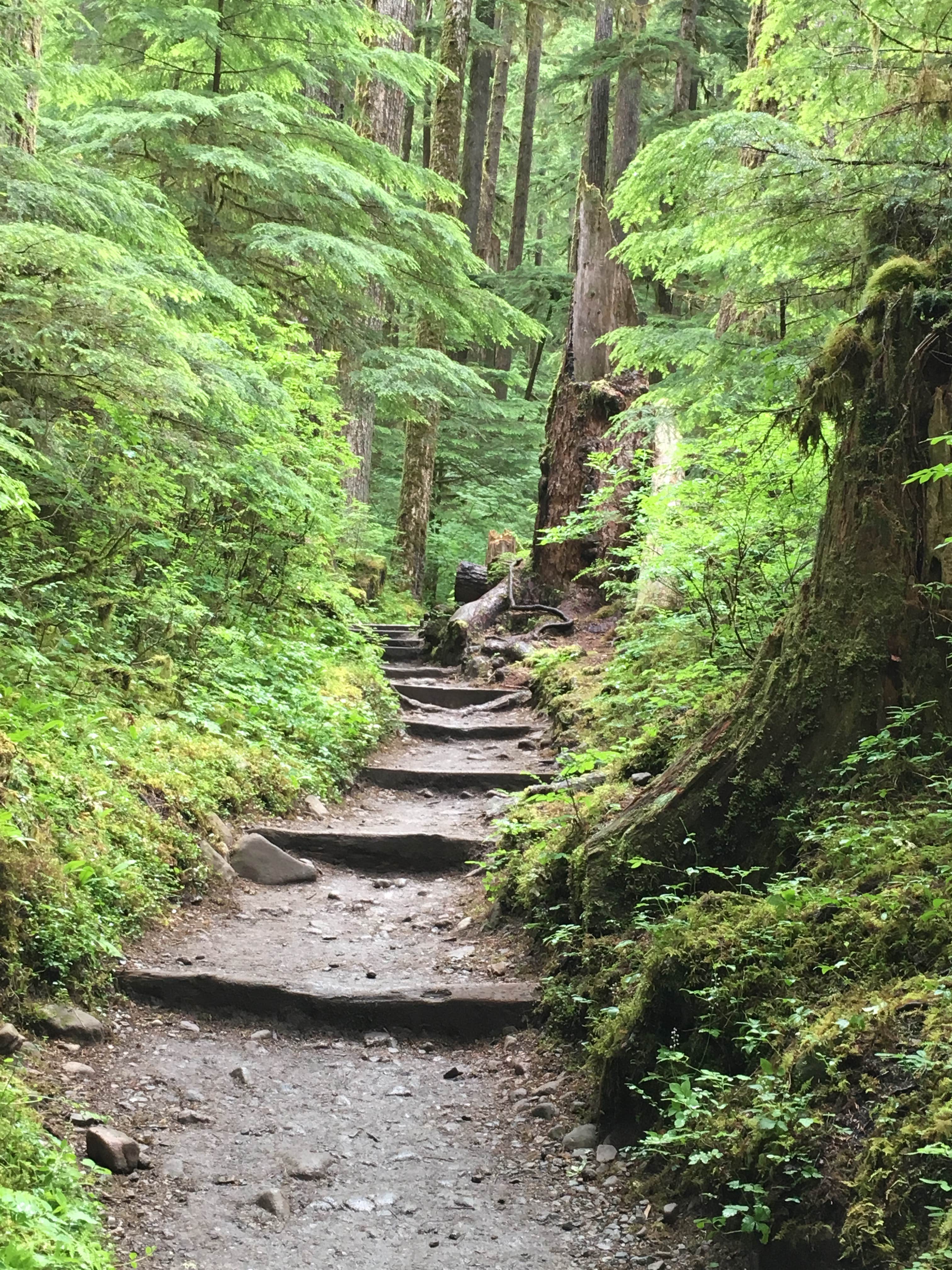Camper-submitted photo at Lake Crescent Lodge — Olympic National Park near Joyce, WA