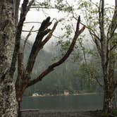 Review photo of Lake Crescent Lodge by Becky R., June 29, 2019