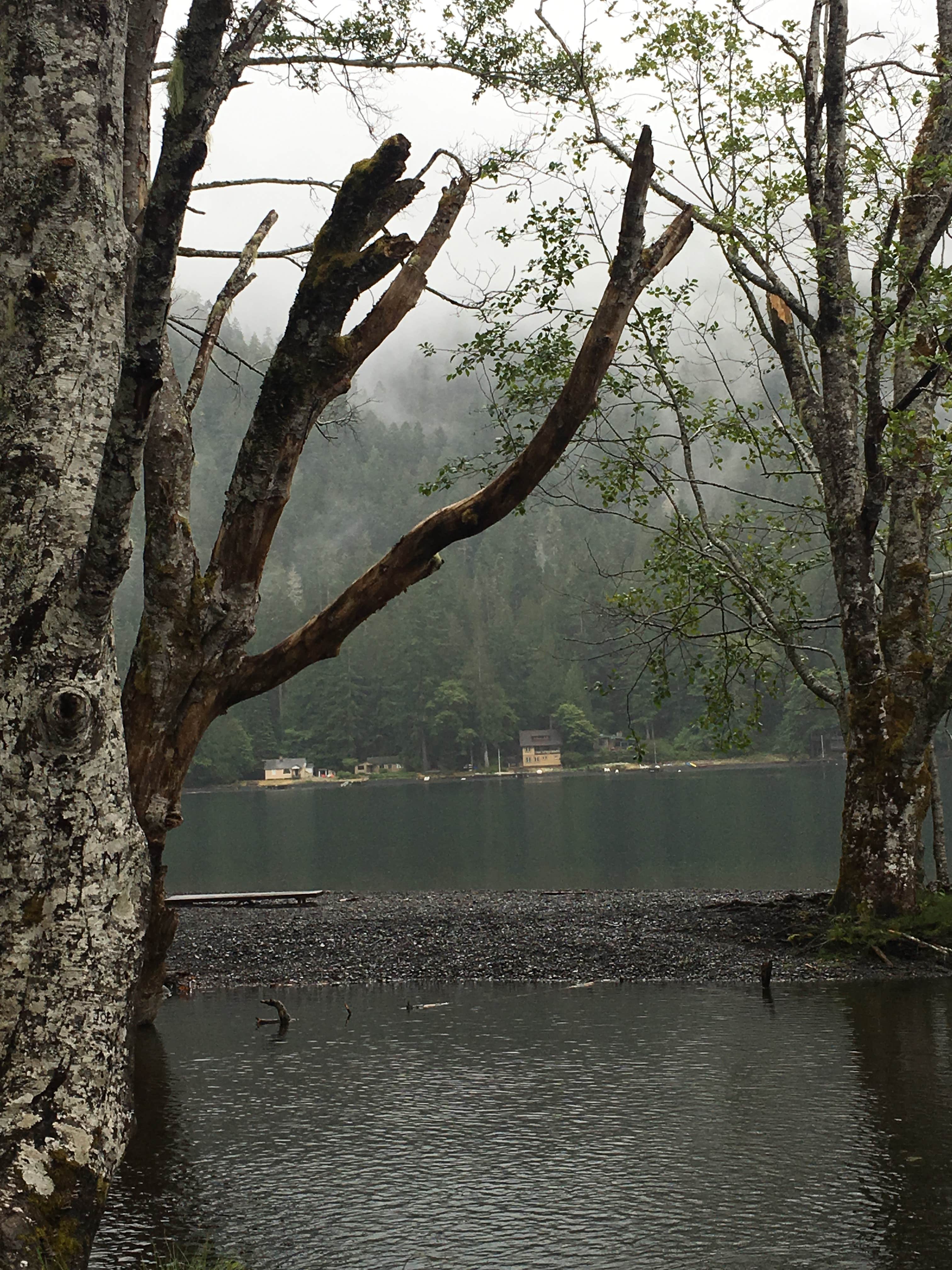 Camper submitted image from Lake Crescent Lodge - 2