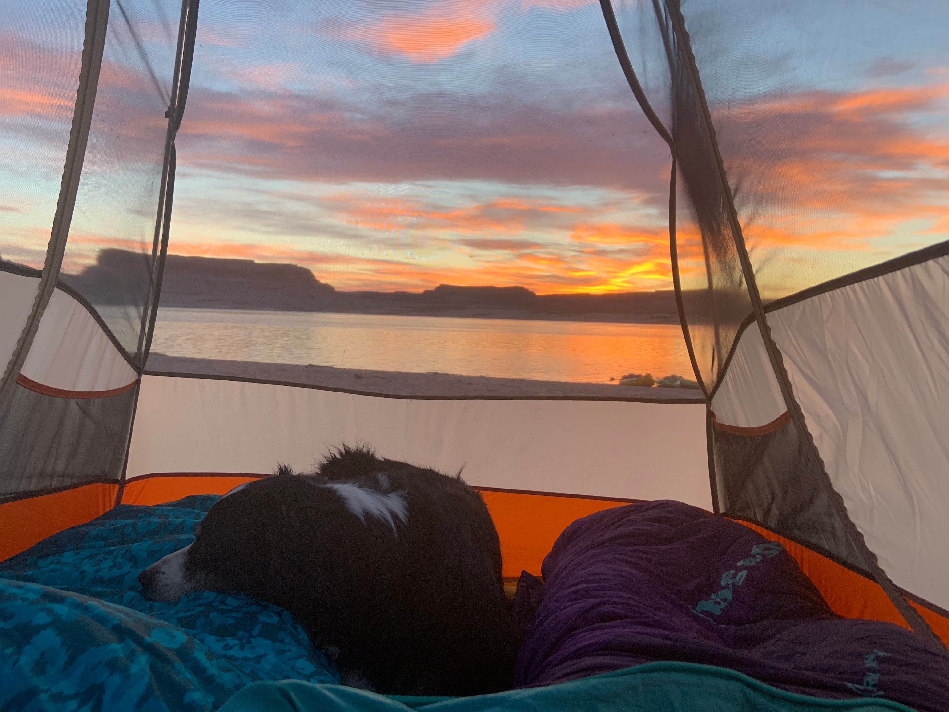 Alejandra R.'s photo at Lone Rock Beach Primitive Camping Area — Glen Canyon National Recreation Area near Page, AZ