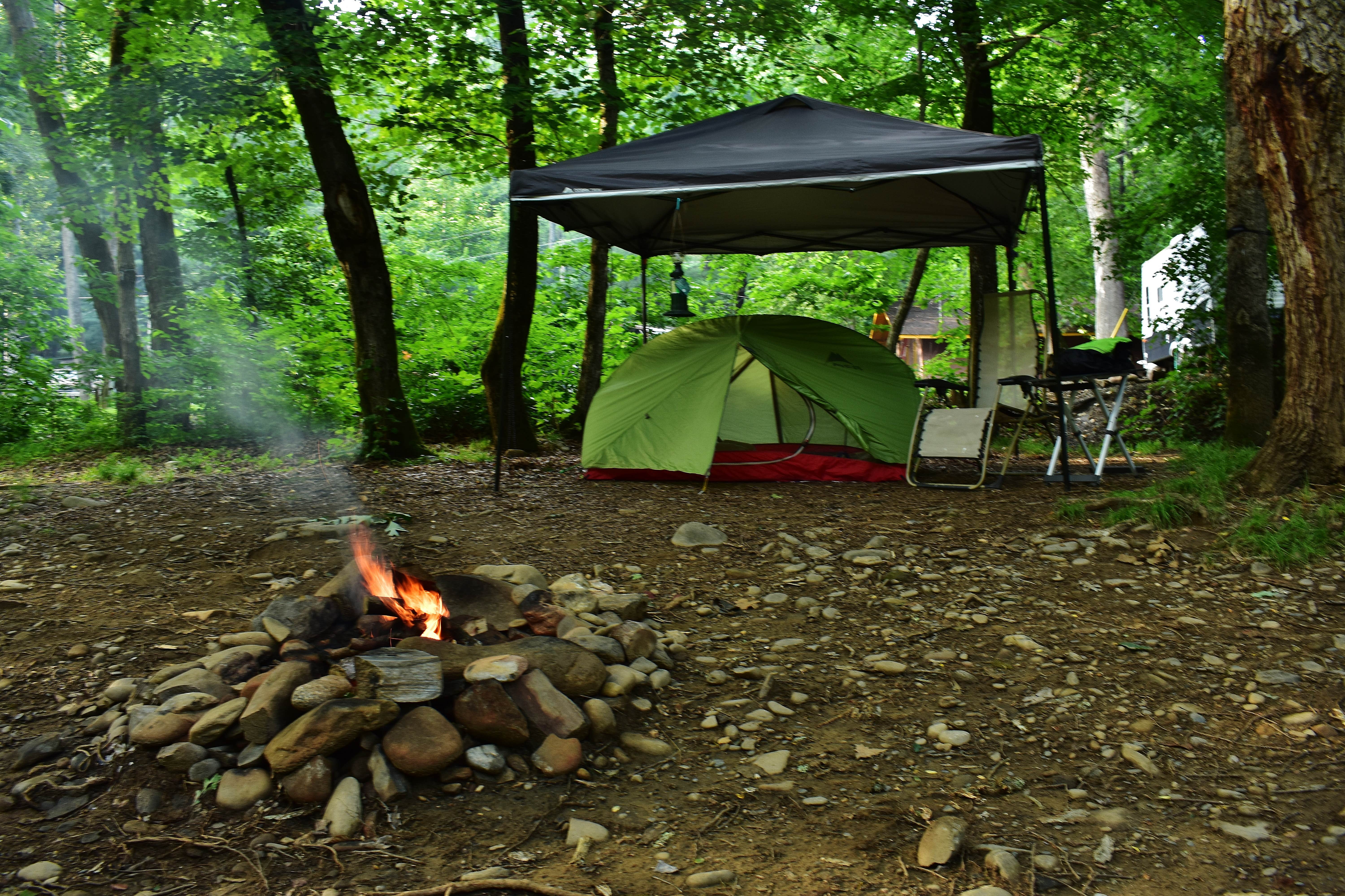 Myron C.'s photo at Wolf Campground near Sylva, NC