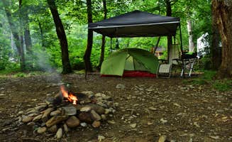 Myron C.'s photo at Wolf Campground near Cherokee, NC