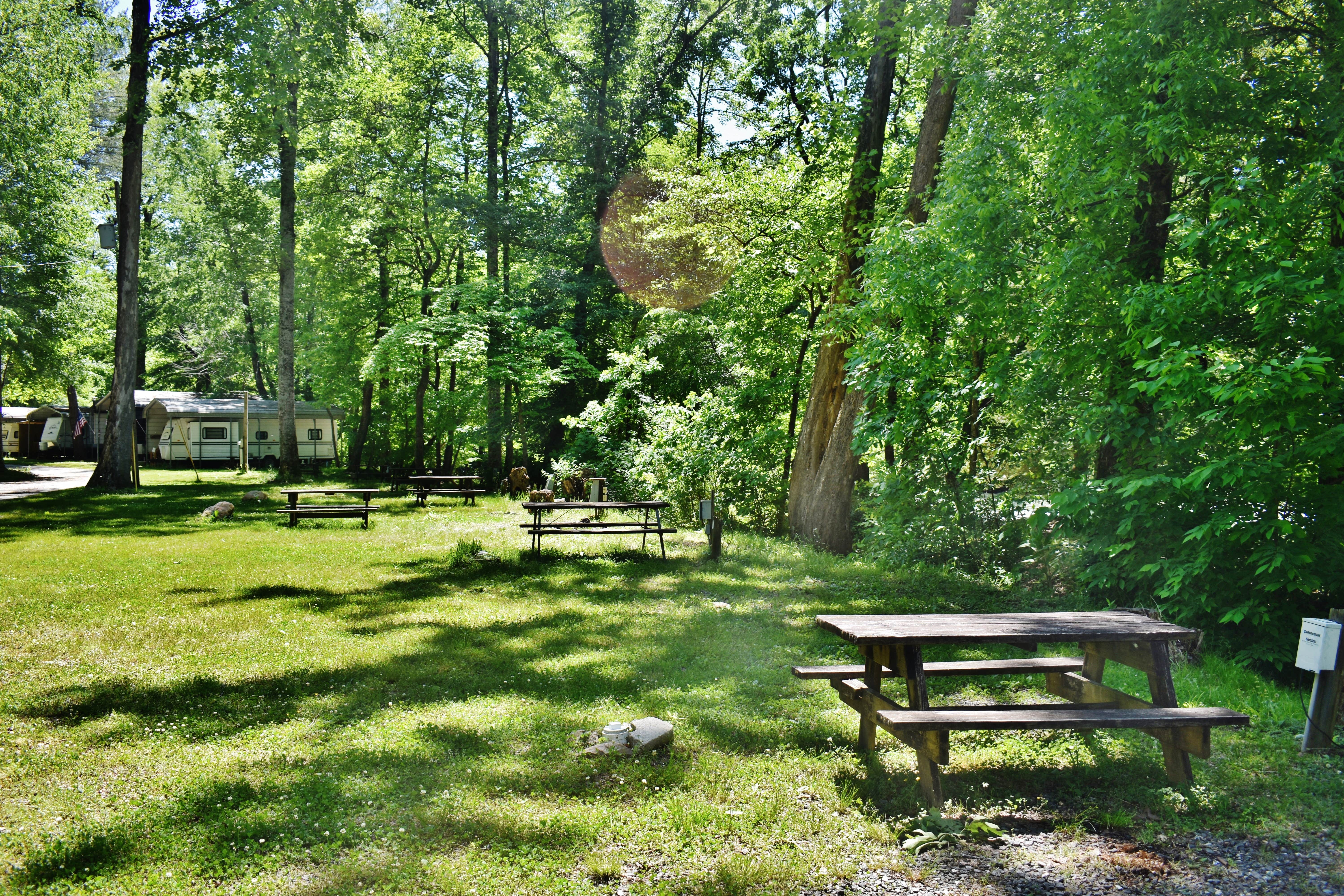 Camper submitted image from Wolf Campground - 4