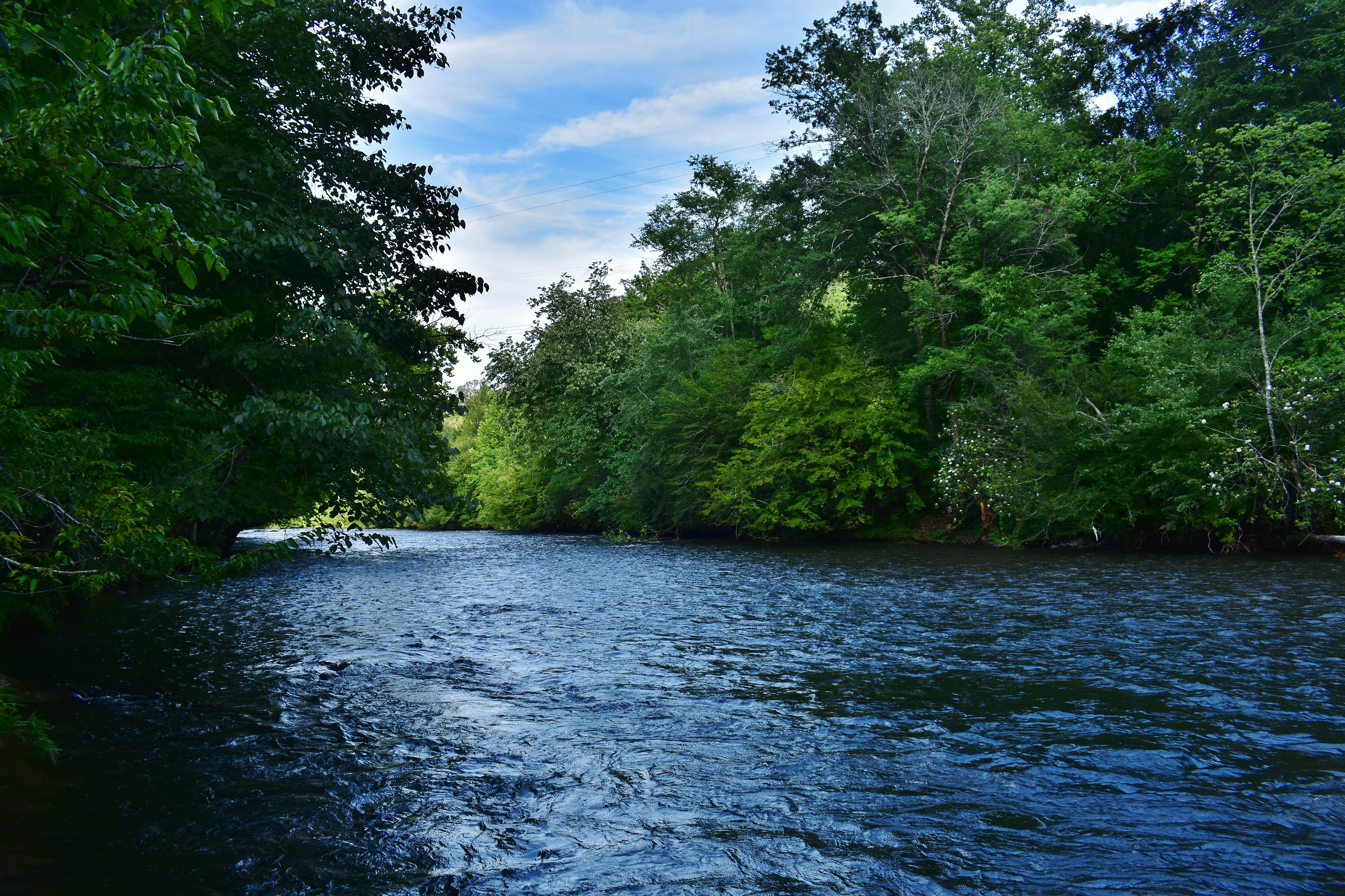 Camper submitted image from Wolf Campground - 5