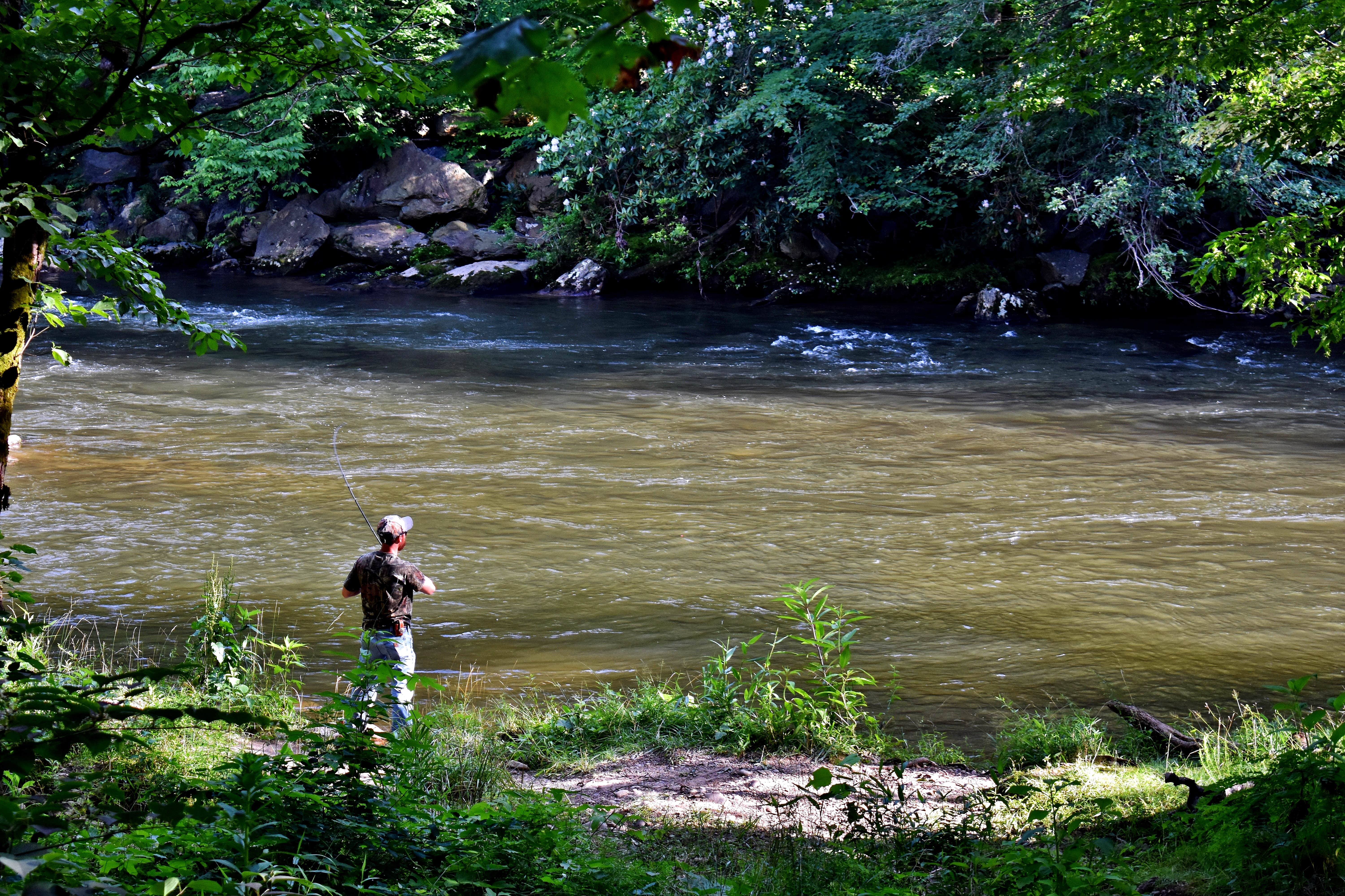 Camper submitted image from Wolf Campground - 3