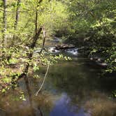 Review photo of Petit Jean State Park — Petit Jean State Park by Chad K., September 5, 2016